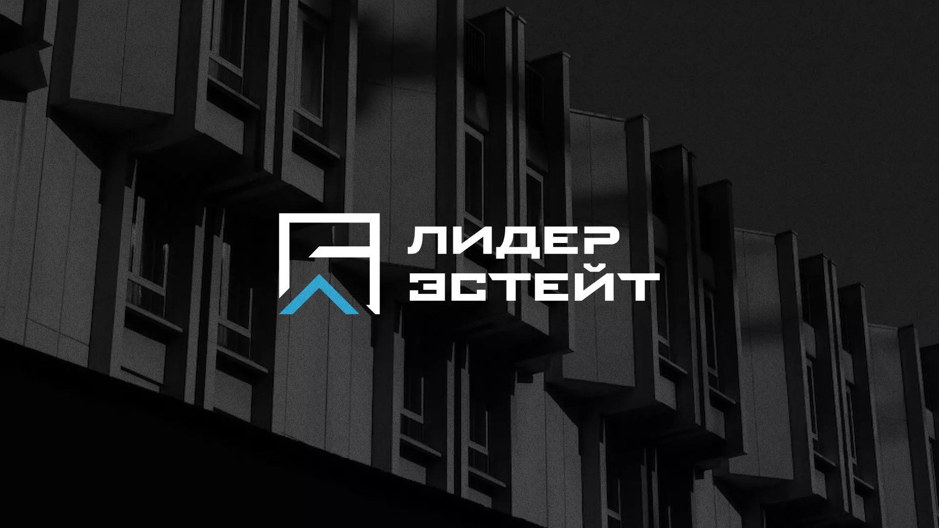 Разработка логотипа агентства недвижимости «Лидер Эстейт» в Дедовске